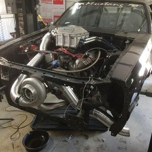 Meet your Posher, Michael w